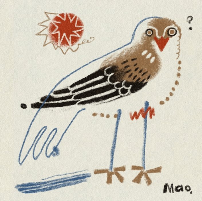 Quiao Maomao, Sin título. Revista Zéjel.
